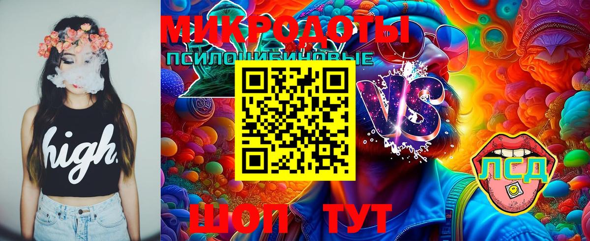 Псилоцибиновые грибы GOLDEN TEACHER Кушва