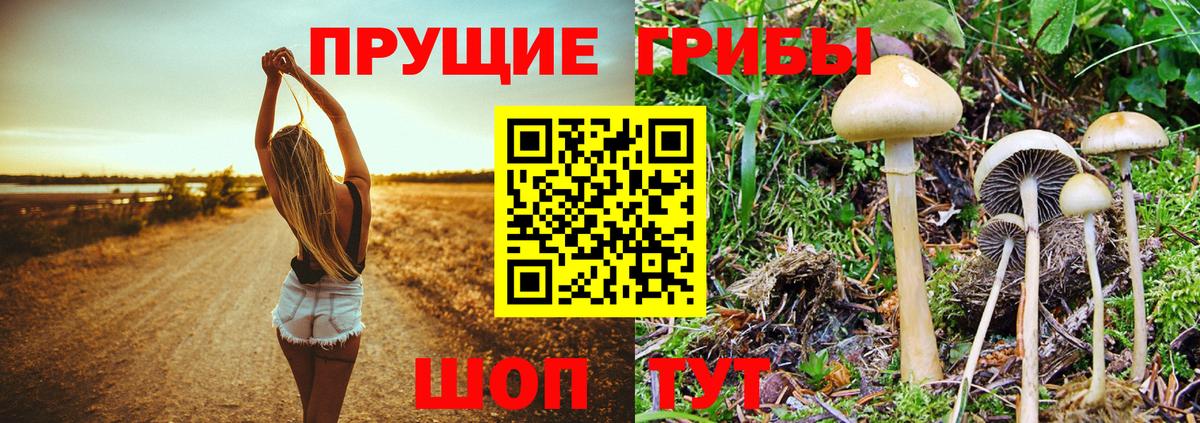 Кушва  Псилоцибиновые грибы мицелий  где можно купить наркотик  Вход с VPN 